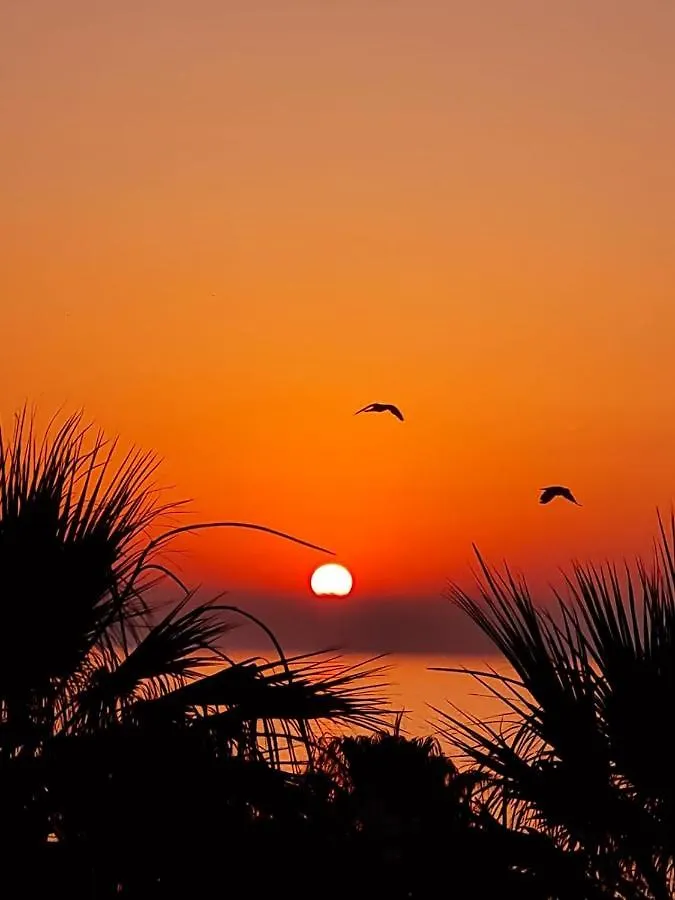 Ithaki Phinikoudes Apartment No. 102 Larnaca 0*,  Cyprus